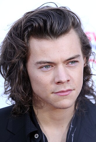 Portret Harry Style