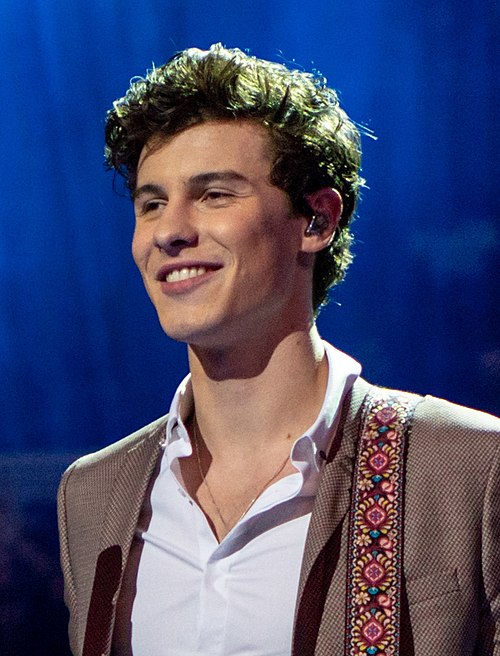 Portret Shawn Mendes